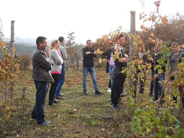 Youth in production of raspberries