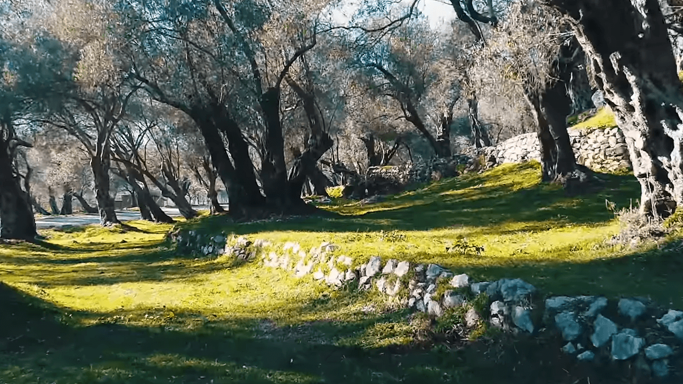 Video spot “Ženska strana kvaliteta”