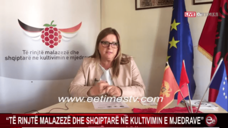 Projekti Të Rinjtë Malazez dhe Shqiptarë për kulturën e Lule Mjedrës promovohen në stacionin televiziv lokal