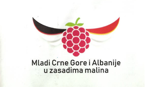 maline-na-vasoj-trpezi